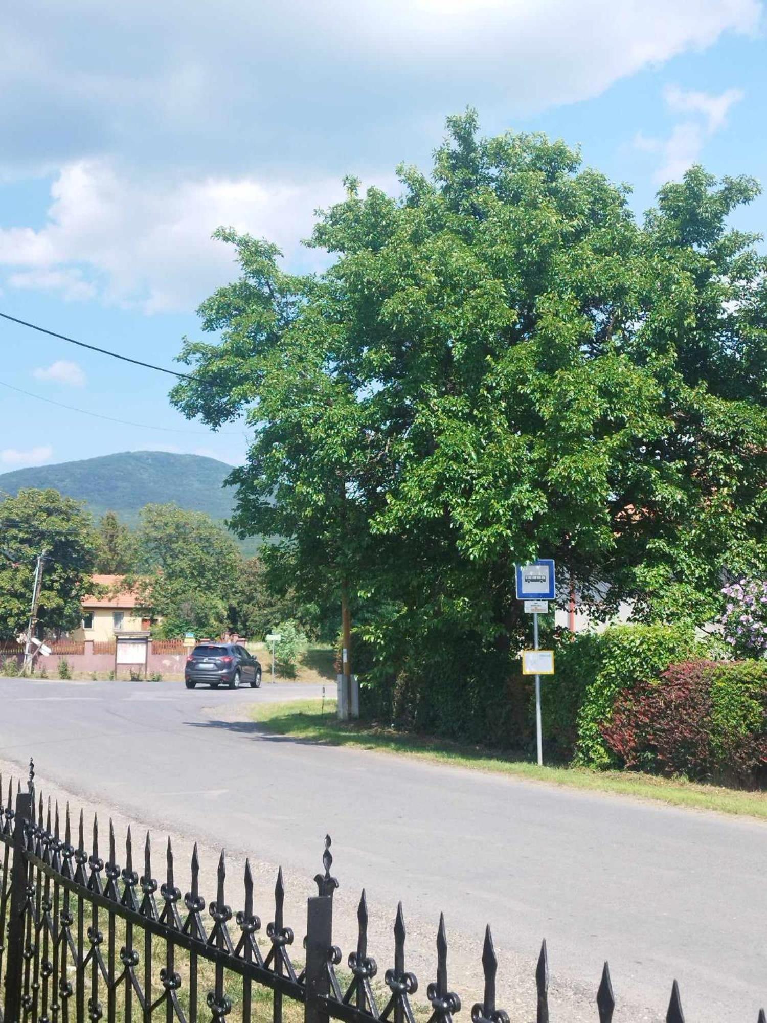 Zöldkapus Vendégház Fony Exterior foto